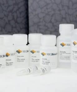 Genomic DNA Extraction Kit (Plant)