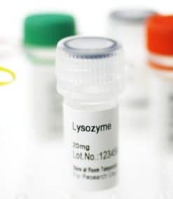 Lysozyme