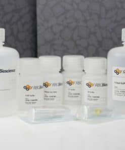 Total RNA Extraction Kit (Tissue) YRT50 | Medical Supply Company