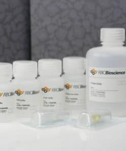 Total RNA Extraction Kit (Plant)
