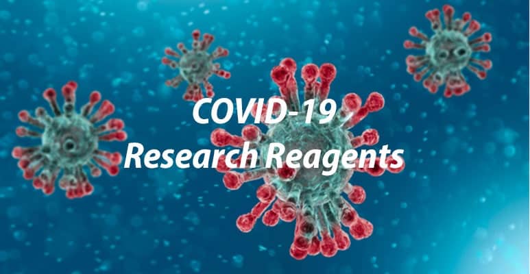 SARS-CoV 2, SARS-CoV-2 Cornoavirus, COVID-19, anti-coronavirus sars-cov-2 spike s2, respiratory illness | Medical Supply Company
