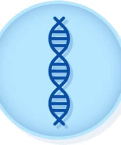 SARS-CoV-2 Synthetic RNA (N Gene Targets)