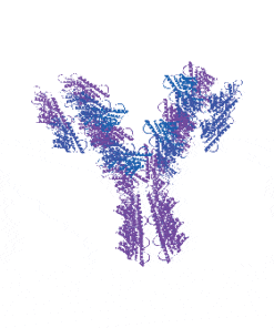 Mouse Anti-SARS-CoV-2 Nucleocapsid Protein | Medical Supply Company