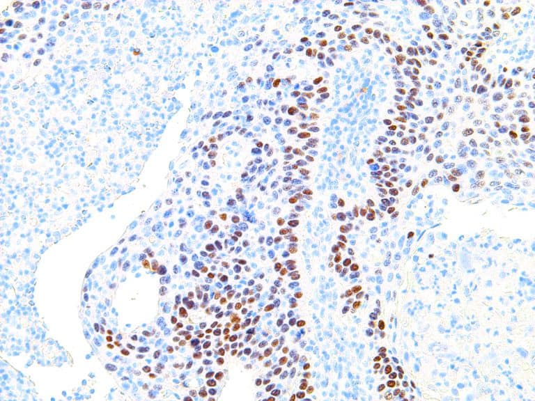 cMyc Medical Supply Company Ireland