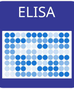 COVID-19 N-Protein Human IgG, IgA, or IgM ELISA Kit