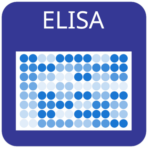 COVID-19 S-Protein (S1RBD) Human IgG, IgA, or IgM ELISA Kit