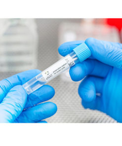 eNAT bulk: 2ml eNAT Transport and Preservation Medium in screw cap tube (50)