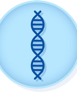 Blood Culture Identification Control Panel (43 Targets)