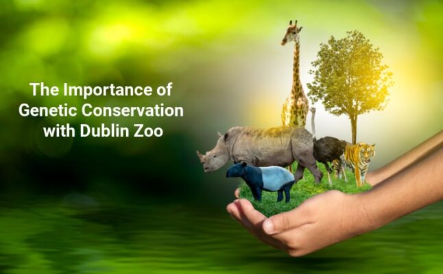 Genetic Conservation at Dublin Zoo | Medical Supply Company
