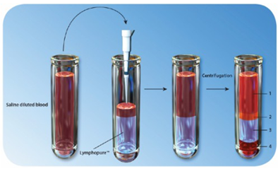 Lymphopure™ | Medical Supply Company