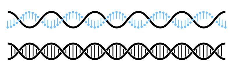 PCR Biosystems