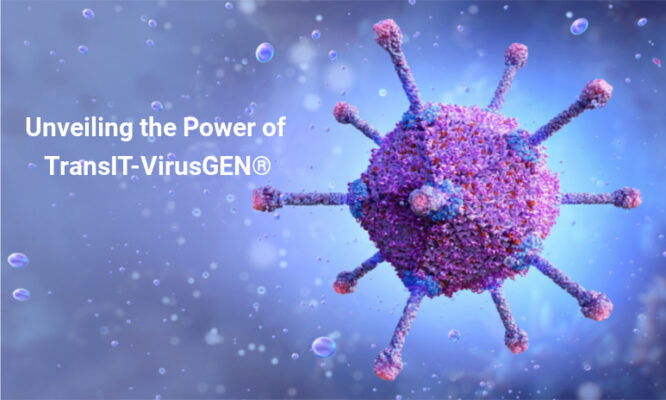 Why choose Mirus’s TransIT-VirusGEN® Transfection Reagent? | Medical Supply Company